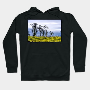 Lush Vineyards Hoodie